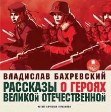 Рассказы о героях Великой Отечественной (Владислав Бахревский)