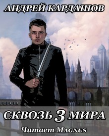 Сквозь 3 мира (Андрей Кардашов)