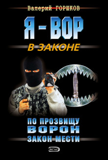 По прозвищу Ворон. Закон мести (Валерий Горшков)