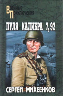 Пуля калибра 7,92 (Сергей Михеенков)