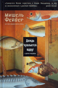 Дождь прольется вдруг и другие рассказы (Мишель Фейбер)