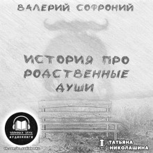 История про родственные души (Валерий Софроний)