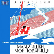 Мальчишки, мои товарищи (Владислав Крапивин)