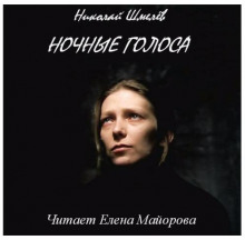 Ночные голоса (Николай Шмелёв)