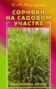 Сорняки на садовом участке (Наталья Жирмунская)