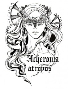 В поиске Холи (Анна Дербенева)