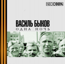 Одна ночь (Василь Быков)