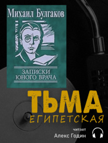 Тьма египетская (Михаил Булгаков)