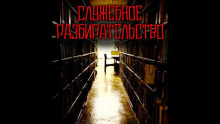 Служебное разбирательство (Олег Новгородов)