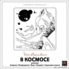 В космосе (Илья Варшавский)