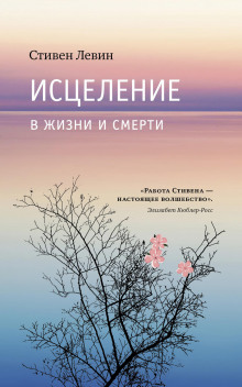 Исцеление в жизни и смерти (Стивен Левин)