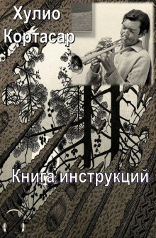 Книга инструкций (Хулио Кортасар)