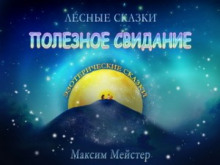 Полезное свидание (Максим Мейстер)