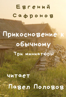 Прикосновение к обычному. Три миниатюры (Евгений Сафронов)