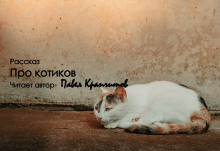 Про котиков (Павел Крапчитов)