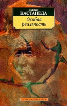 Особая реальность. Новые беседы с доном Хуаном (Карлос Кастанеда)