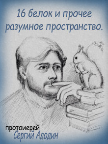 16 белок и прочее разумное пространство (Сергей Адодин)