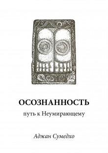 Осознанность путь к Неумирающему (Аджан Сумедхо)