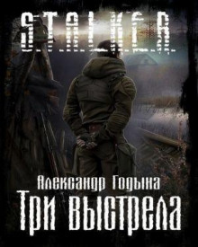 S.T.A.L.K.E.R. Три выстрела (Александр Годына)