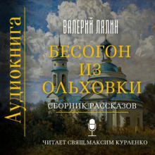 Бесогон из Ольховки. Сборник рассказов (Валерий Лялин)