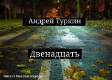 Двенадцать (Андрей Туркин)