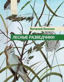 Лесные разведчики (Виталий Бианки)