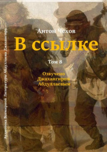 В ссылке (Антон Чехов)