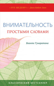 Простыми словами о внимательности. Руководство по медитации випассаны (Хенепола Гунаратана)