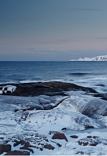 Однажды у Холодного моря. Сказки (Алиша Хамстори)