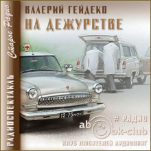 На дежурстве (Валерий Гейдеко)