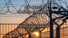 16 шагов в одну сторону (Алексей Игнатов)