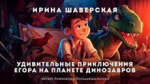 Удивительные приключения Егора на планете динозавров (Ирина Шаверская)