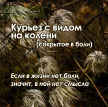 Курьез с видом на колени (сокрытое в боли) (Екатерина Гликен)