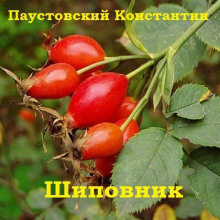 Шиповник (Константин Паустовский)