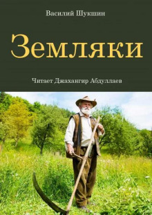 Земляки (Василий Шукшин)