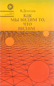 Как мы видим то, что видим (Вячеслав Демидов)