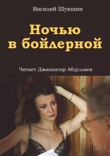 Ночью в бойлерной (Василий Шукшин)