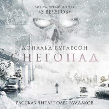 Снегопад (Дональд Бурлесон)